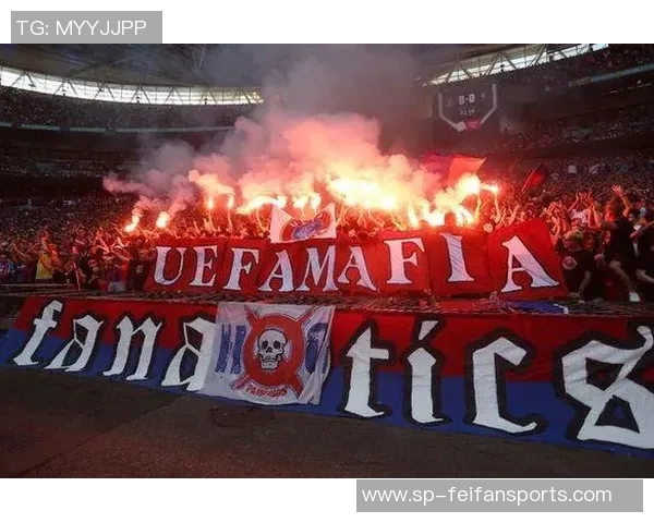 现场球迷举不当标语被驱逐76人发表官方声明 现场球迷举不当标语被驱逐76人发表官方声明